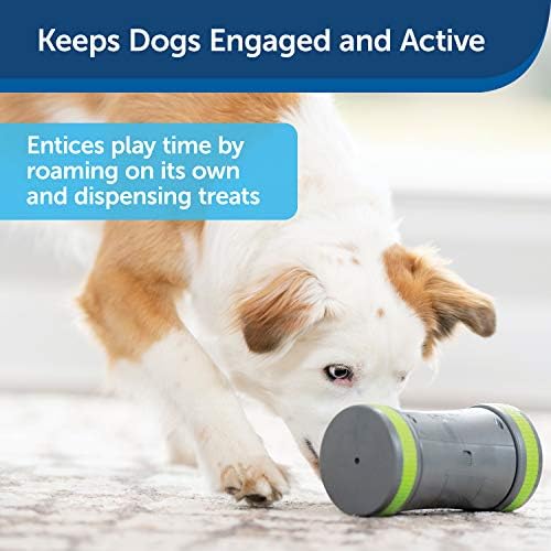 PetSafe kibble chase igračka za pse, tretiraju igračku, inteligencijske igračke za pse, interaktivna igračka psa, bateriju, snack