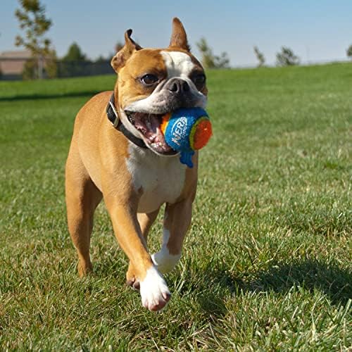 Nerf pseća teniska lopta Blaster igračka za pse, 16 inčni Blaster sa 3 lopte, zelena