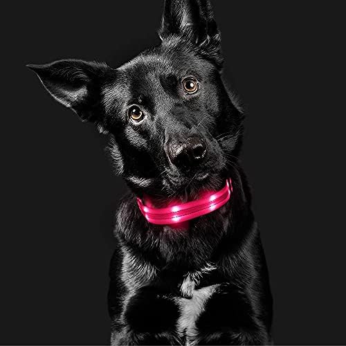 Candofly punjivi ovratnik za pse - vodootporna svjetlost up ovratnike za pse sjaji u tamnim ovratnicima za pse za male srednje velike