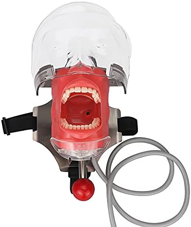 Dental nastavni model simulator manikin fantomska glava zubni model fantoma sa montiranjem klupe na stomatološku stolicu
