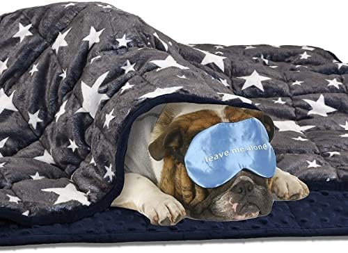 Lasyl Weighted pas deke | Premium meka Minky tkanine | relaksacija & smirujući & Anti Anxiety & Thunder za kućne ljubimce Cat | koristi
