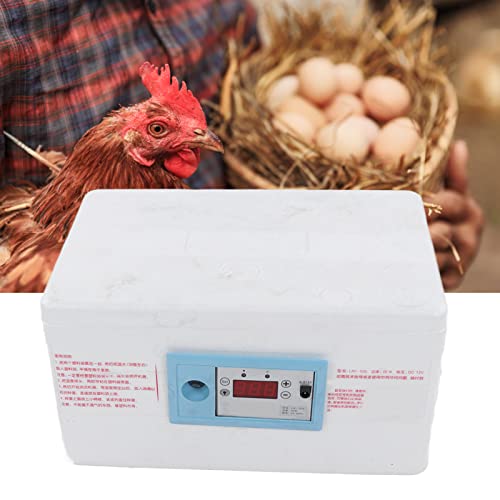 Automatski inkubator za kontrolu Temperature, inkubator za jaja tečni Digitalni inkubator za eksperiment pilećih prepelica sa 20 listova