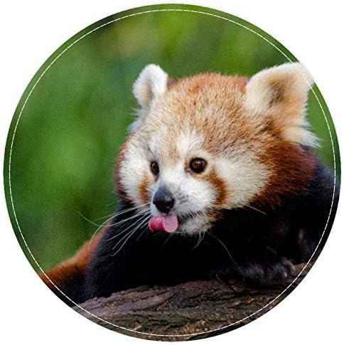 Heooeh Slatka crvena panda, non kliz vrata 15.7 okrugli područja tepiha tepiha za djecu za djecu za djecu, igralište