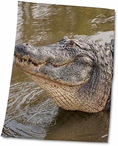 3Droze SAD, Florida, Orlando, aligator radi vodeni ples u Gatorlandu. - Ručnici