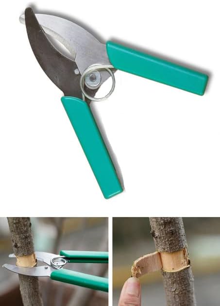 Prsten za lajanje rezač makaze nož za pojas vrtno voće drvo grožđa cherry alat za prunning grm voćnjak