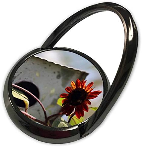 3drose marku City - Priroda - fotografija crvenog suncokreta koji raste ispred metalne ptice. - telefonski prsten