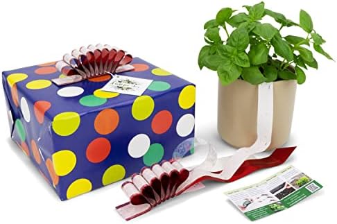 Dajte+Grow Plantable poklon luk sa semenkama Genovese bosiljka, patentirani ekološki dizajn na čekanju, 2 prelepe brušene zelene mašne