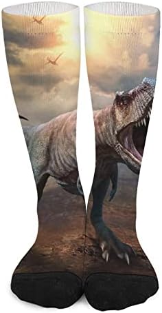 Tyrannosaurus Rex boja koja odgovara visokim čarapama moda sportske tople čarape za muškarce i žene