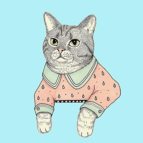 Oštro shirter mačka Lady Cat Pet Pet, Plish Fleece Top, W / patentni zatvarač i umetak
